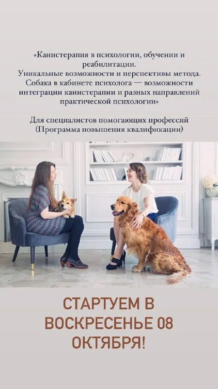 Пет терапия. Хронос психологический центр павелецкая. Хронос центр. Центр психологической помощи логотип. Хронос психологический центр.