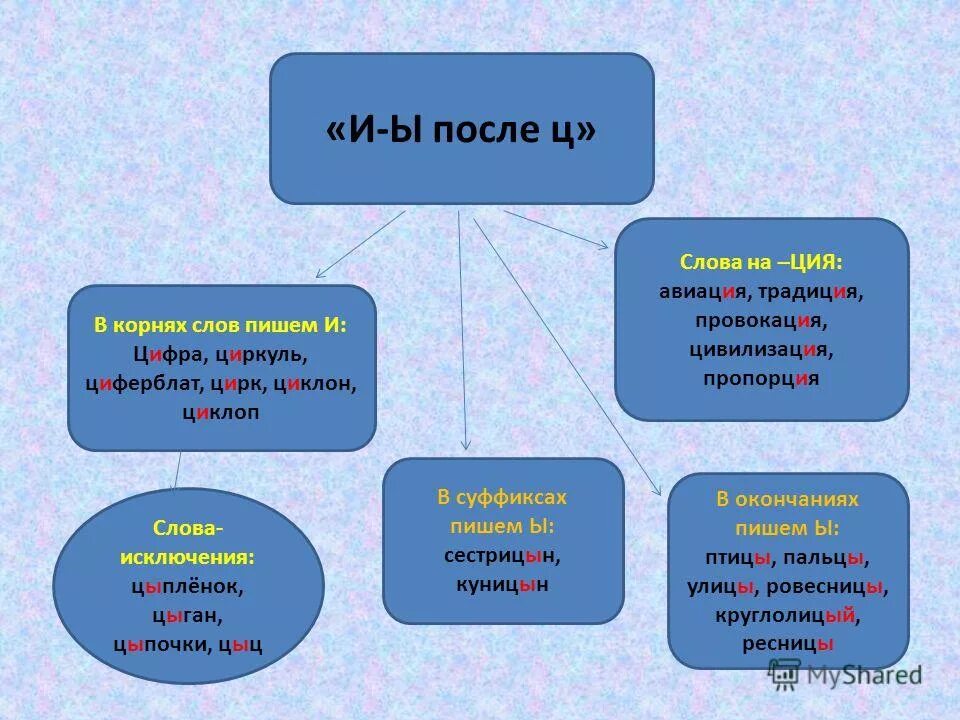 Корень слово после. Написание слова циркуль. Корень слова циркуль цирк. Циферблат правописание после ц. Корень слова.