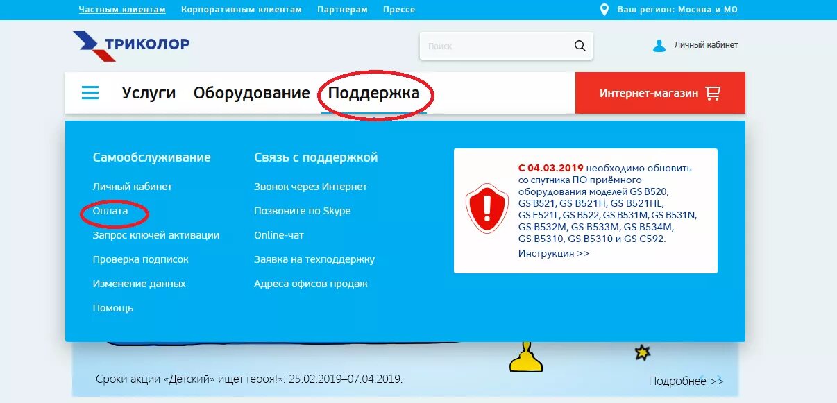 Продлить подписку триколор. Услуги Триколор ТВ. Личный кабинет Триколор интернет. Триколор услуги. Пакет детский Триколор ТВ.