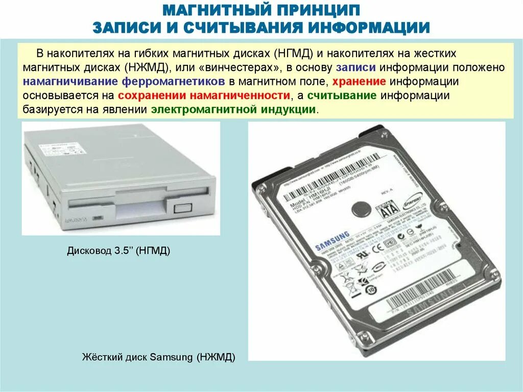 Внешняя долговременная память. Долговременная память компьютера. Носители долговременной памяти. Внешняя память магнитная память.