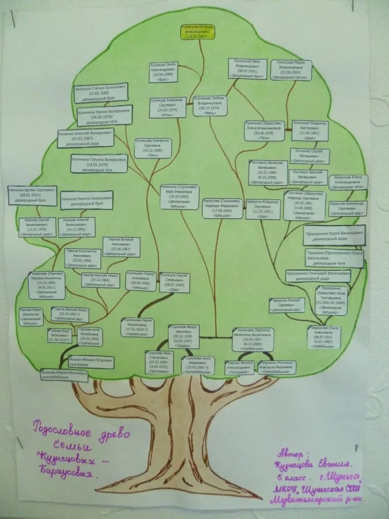 Родословная 2 класс окружающий мир. Генеалогическое Древо семьи Кузнецова. Древо родословная проект второй класс. Окруж мир 2 класс Древо семьи.