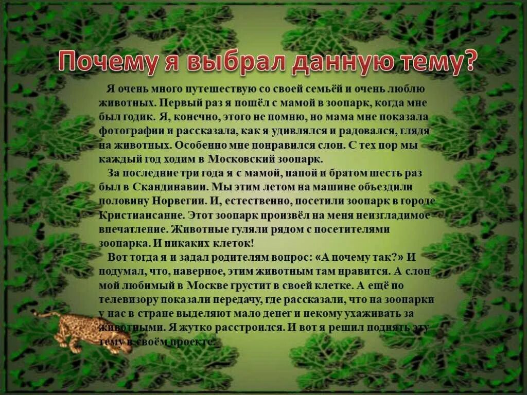 Сочинение о посещении зоопарка. Эссе на тему зоопарк. Сочинение по зоопарку. Сочинение на тему зоопарк. Написать сочинение на тему зоопарк.