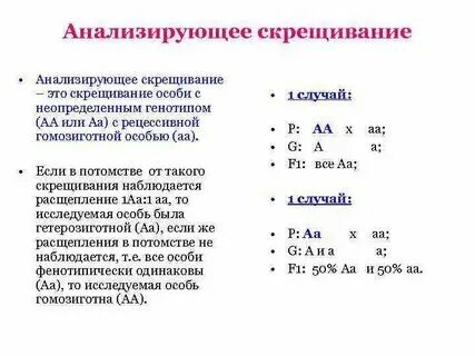 Анализирующее скрещивание пример задачи Дигибридное скрещивание примеры задач