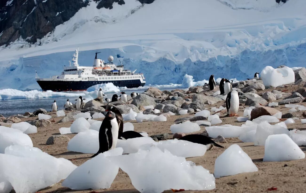 Море уэдделла моря южного океана. Иран антарктида. Аргентина антарктида. Северный полюс, арктика и южный полюс, антарктида. Температурные рекорды антарктиды.