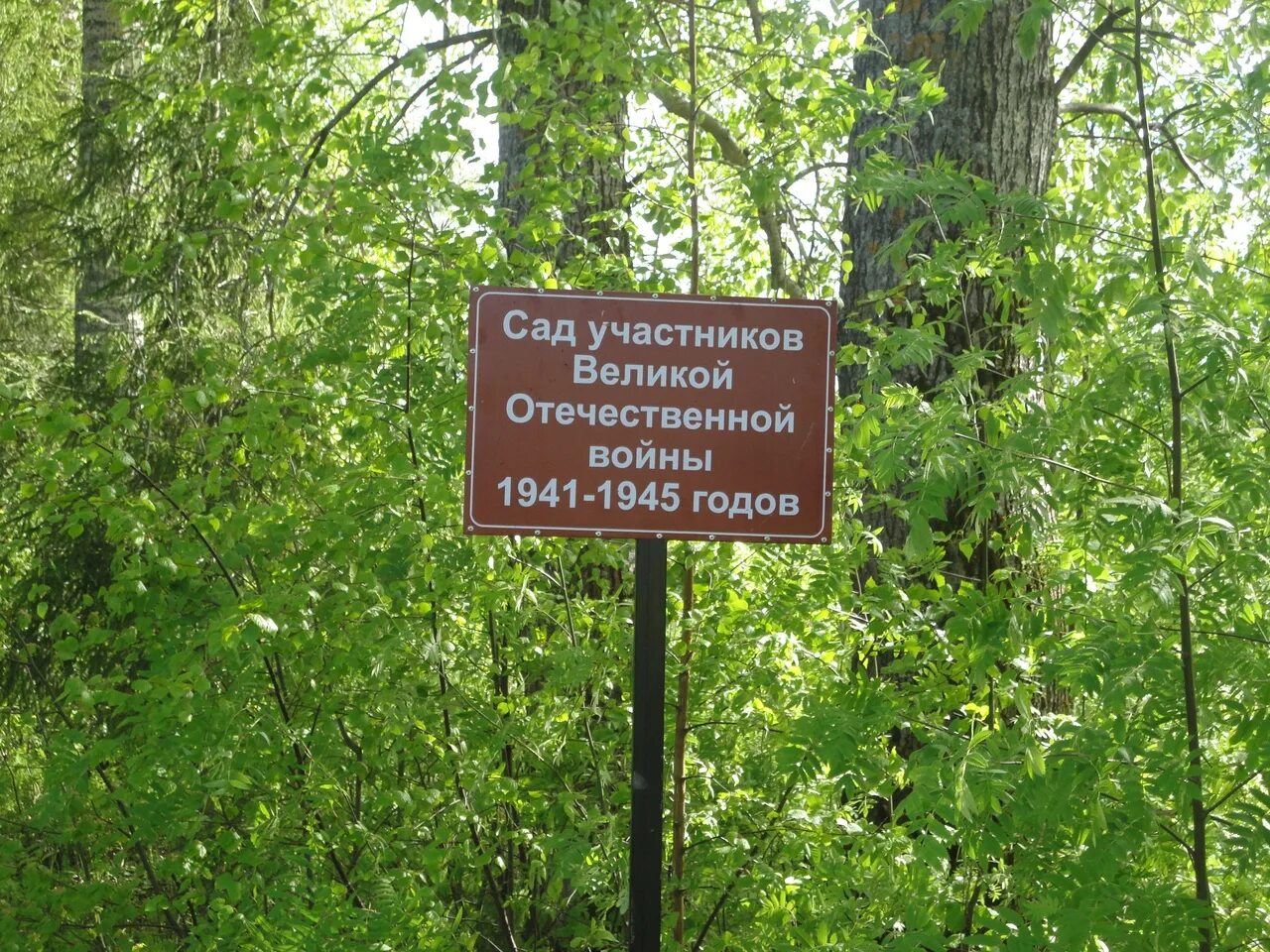 Типичный покровское котельничского. Типичное покровское котельничский. Типичное покровское котельничский. Котельневское сельское поселение. Типичный покровское котельничского.