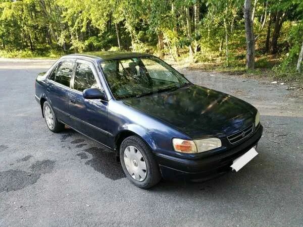 Дром дальнегорск. Toyota Corolla 1996. Тойота Королла 1,3 1996. Тойота Королла 1996г. Corolla 1996 ee111.