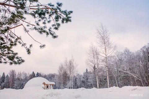 Январская жизнь