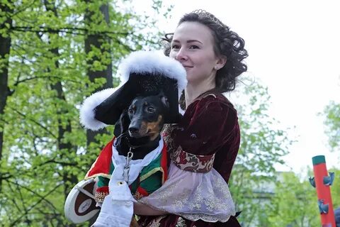 Костюмированный парад такс