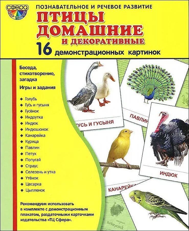 Птицы познавательное для детей. Демонстрационный материал домашние птицы. наглядные пособия домашние птицы. птицы наглядное пособие. методическое пособие домашние птицы.