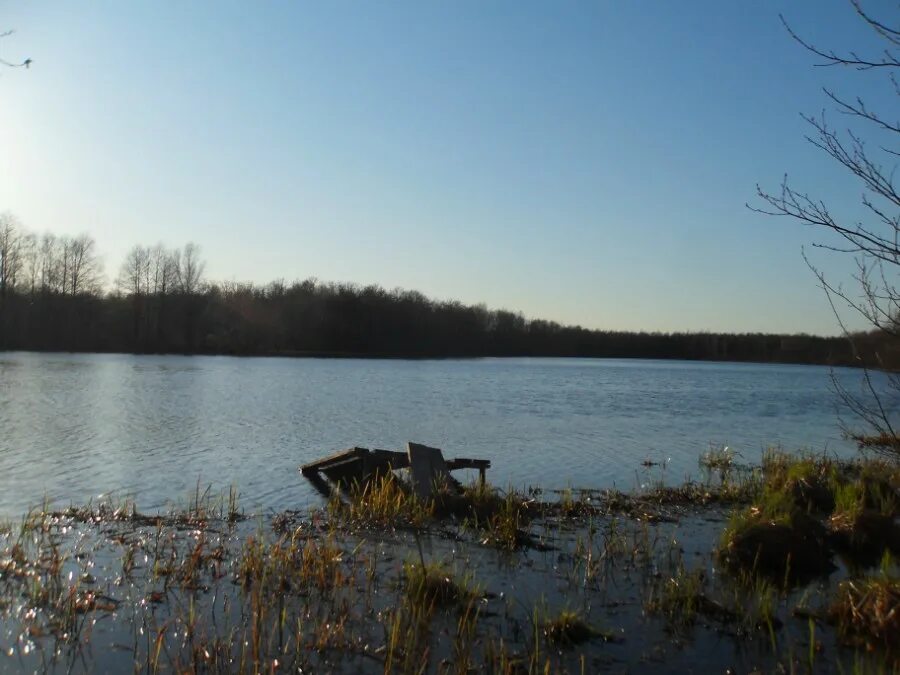 святое озеро косино ухтомский. озеро в юго западном жм новосибирск. юхро озеро нижегородская область рыбалка. святое озеро новокосино. озера юго.