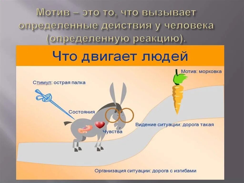 Стимул п. Что движет человеком. Мотивация морковка. Морковка стимул и мотивация. Ослик и морковка мотивация и стимулирование.