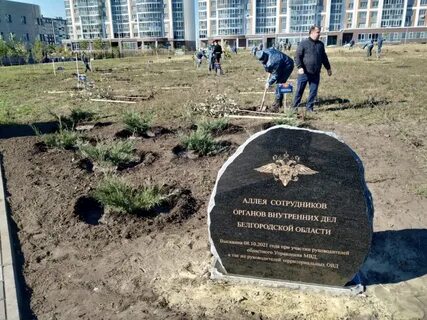 Аллею назвали