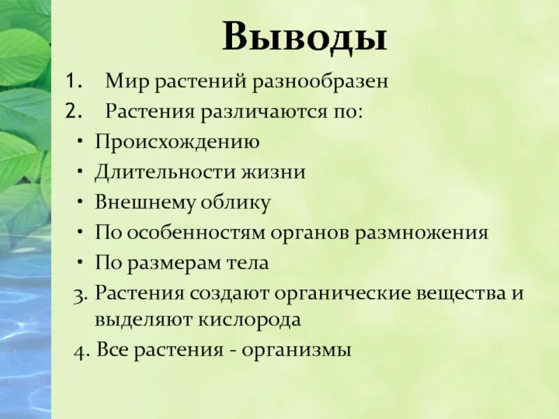 Более разнообразный растительный состав