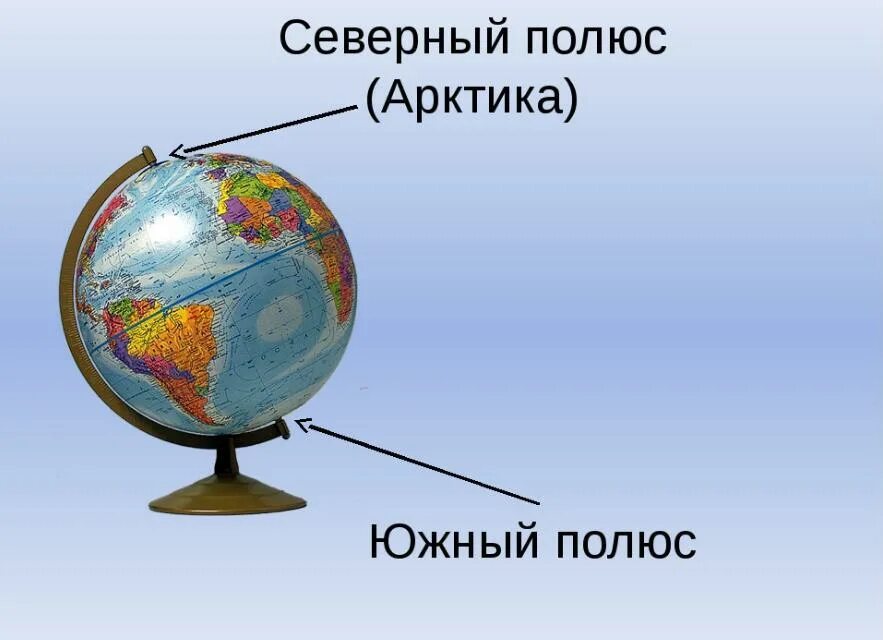 Где на глобусе северный и южный полюс. Северный полюс и южный полюс на глобусе. северный и южный полюс на глобусе. северный и южный полюс земли. глобус с полюсами.