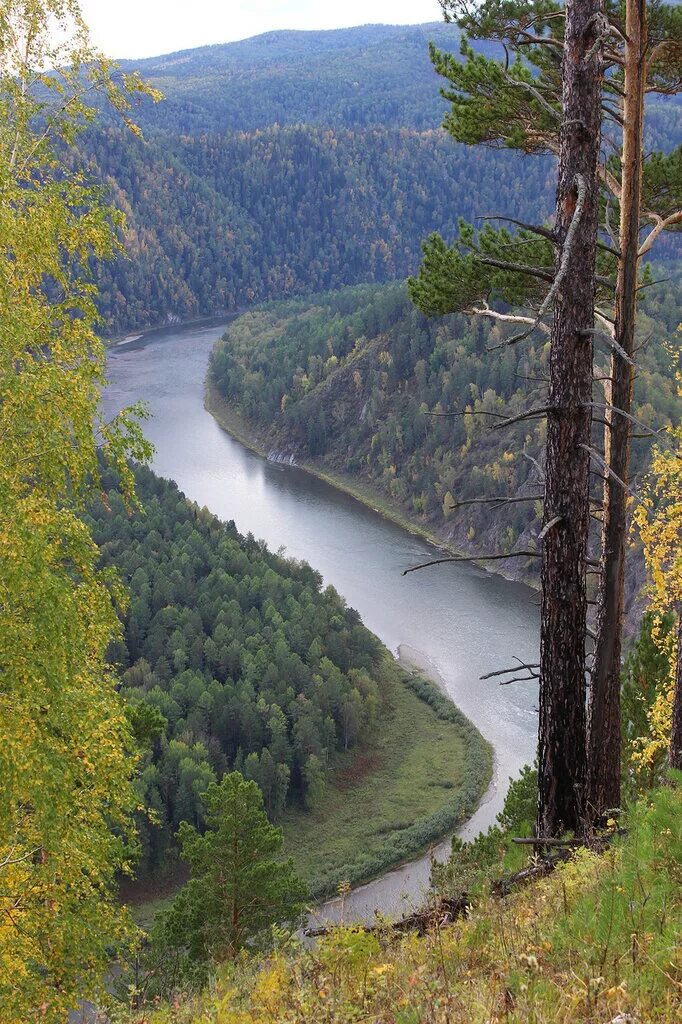 Река Мана Красноярский край. Озеро Мана Красноярск. Река Енисей Красноярский край. Манский Мана река.