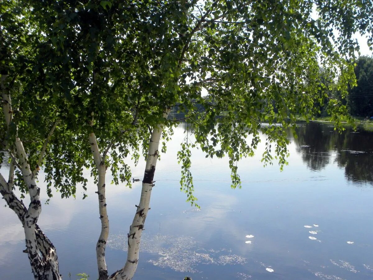 Березки водохранилище