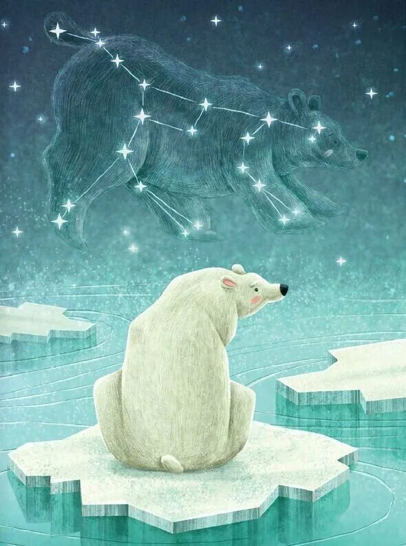 Star bear. Star bears. Star bears. Северное сияние умка. Star bear.