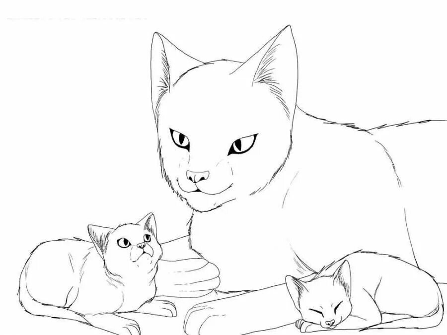 Как раскрасить кошку