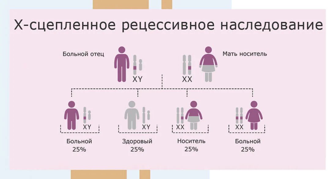 Заболевание y сцепленное рецессивное. Муковисцидоз наследуется. Тип наследования муковисцидоза. Наследственные болезни муковисцидоз.