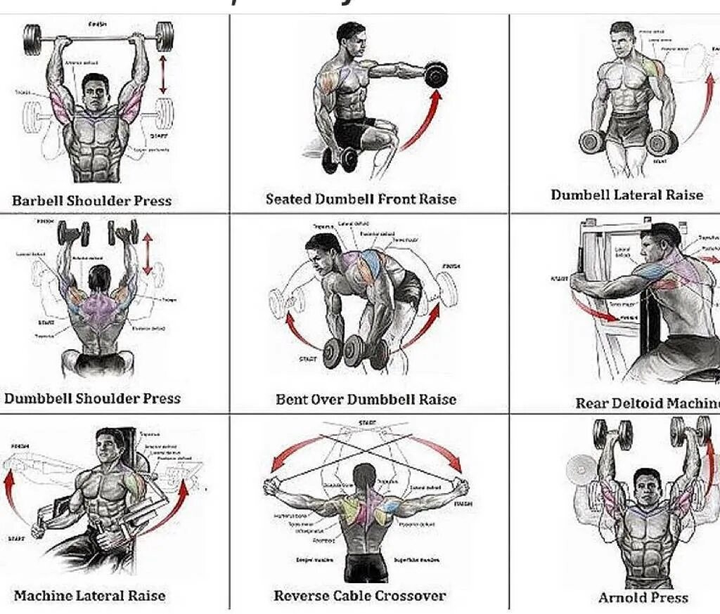 Work out exercises