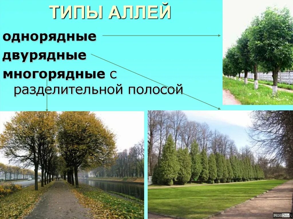 Аллея. Верхний сад петергоф. Фронтальный вид аллеи. Бюджетное виды аллеи памяти примеры. Дворцовый парк аллея.