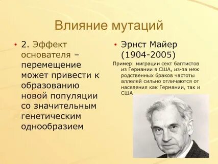 Принцип основателя
