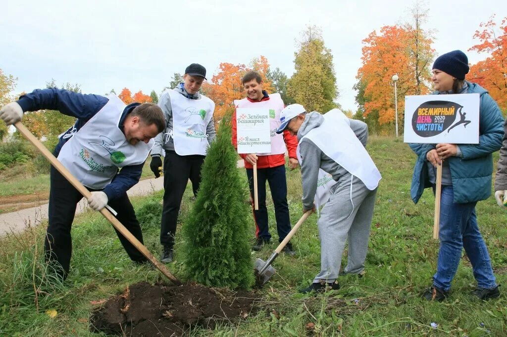 Посади дерево область