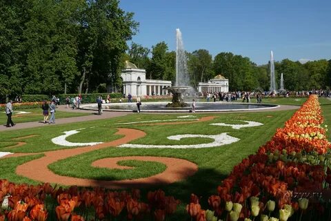 Цветы в пушкине