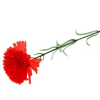 Гвоздики в аптеках