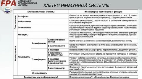 Иммунная система таблица