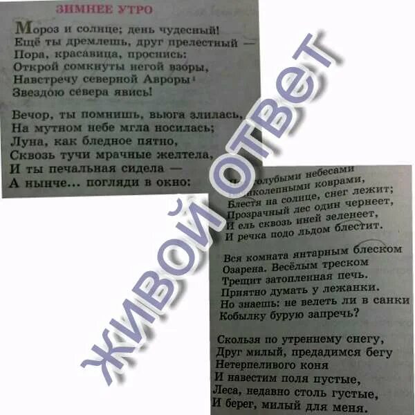 Метафоры стихотворения встану я в утро туманное. Зимнее утро метафоры. Метафора в стихотворении утро. Метафоры в стихе зимнее утро. Эпитеты и метафоры в стихотворении зимнее утро.