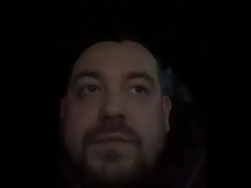 Давидыч аурус. Булкин и давидыч.