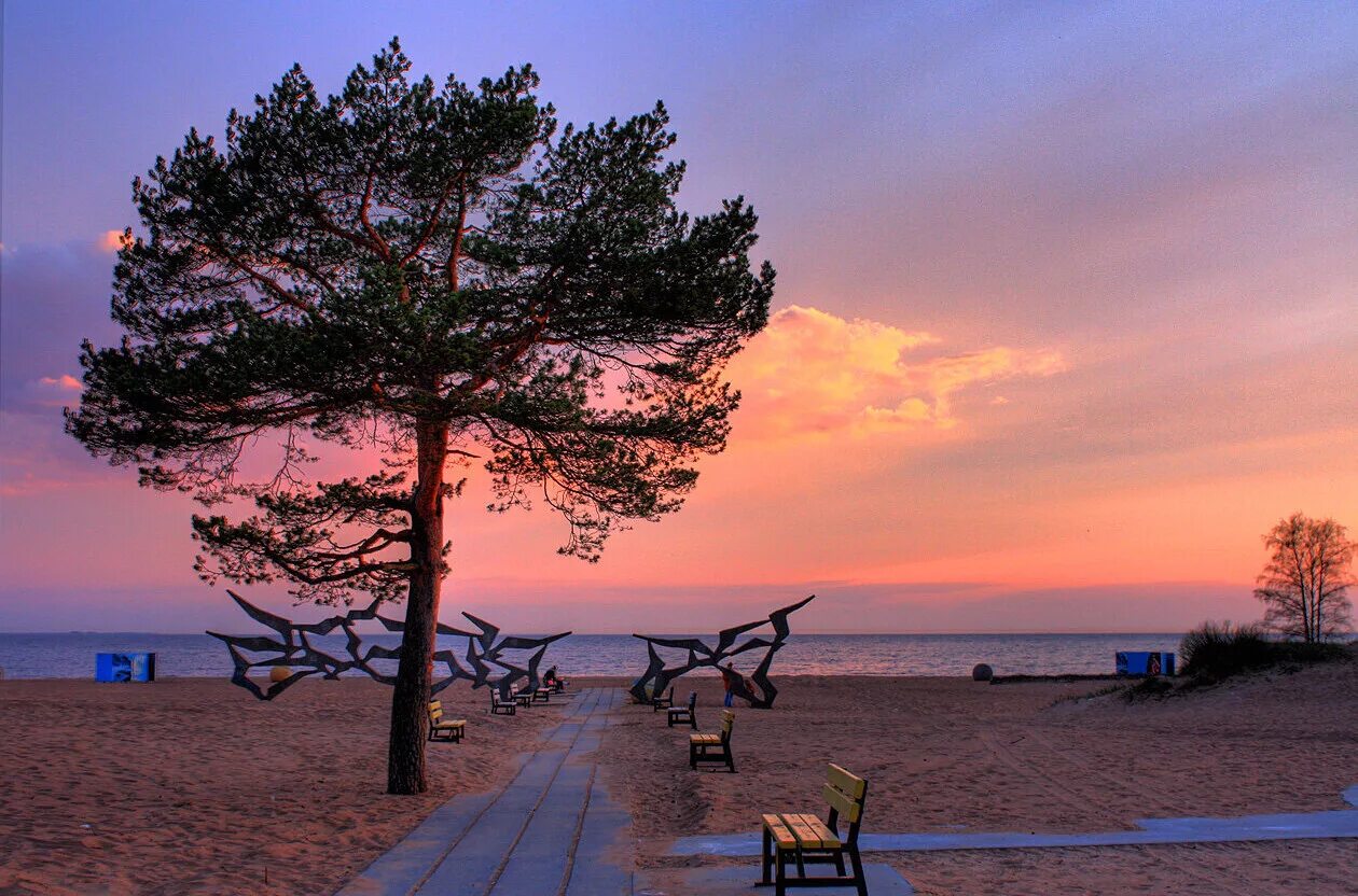 пляж ласковый спб финский залив. солнечное спб пляж ласковый. ласковый пляж, посёлок солнечное. сестрорецк пляж ласковый. пляж ласковый на финском заливе.