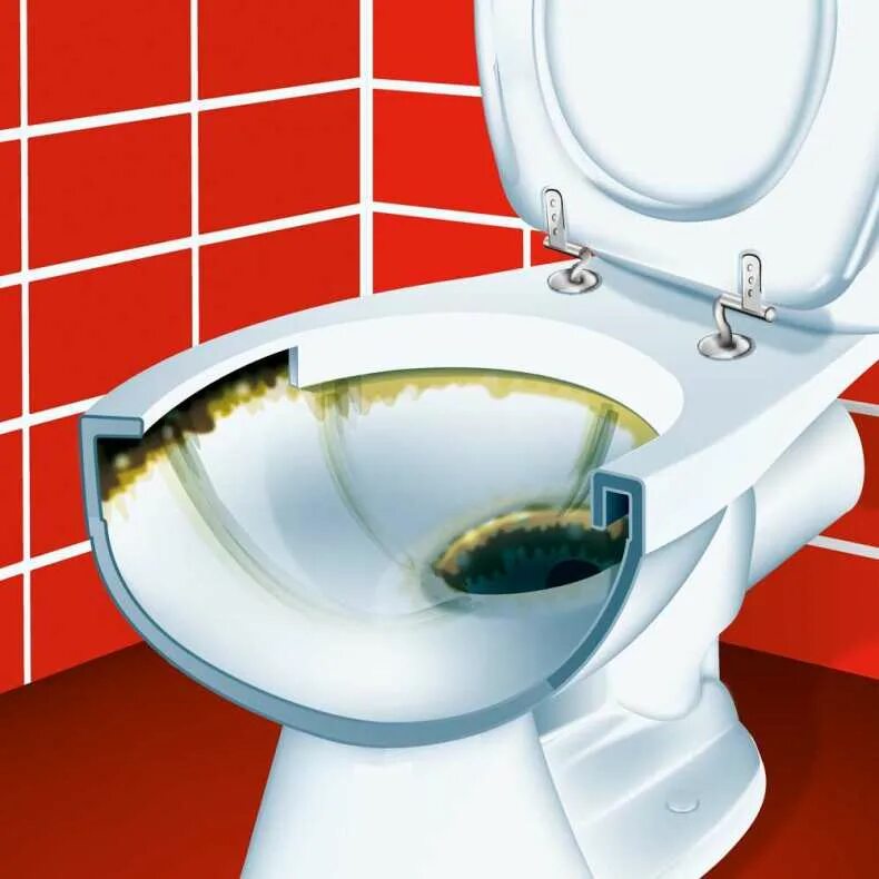 Как почистить унитаз от известкового. Приспособление для мытья унитаза под ободком. Унитаз с известковым налетом. Унитаз с порошком с чупиками. Как почистить унитаз от известкового.