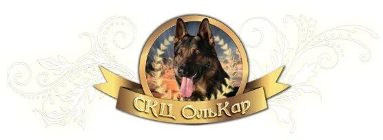 Клуб собаководства сайт