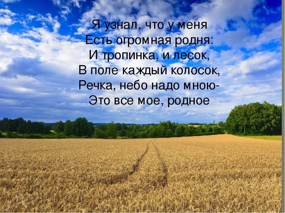 Четверостишье про родину. В поле каждый колосок. В поле каждый колосок это Родина моя. В поле каждый колосок стих.