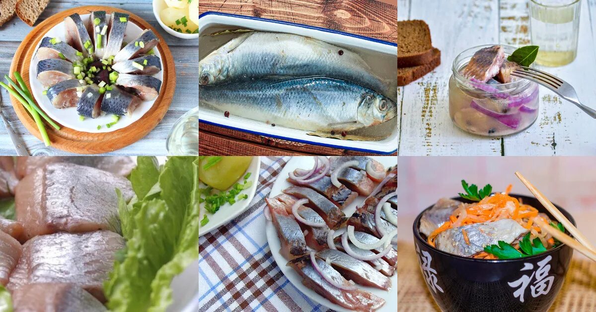 Рецепт посолить селедку быстро и вкусно. Паста из соленой сельди. как быстро засолить селедку в домашних условиях за 2 часа. как посолить селёдку в домашних условиях вкусно и быстро без рассола. селедка соленая как узнать свежая или нет.