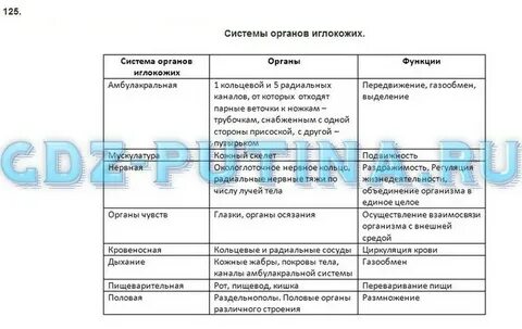 Система органы функции класса птицы