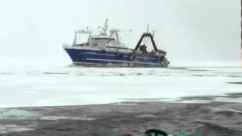Старжинский судно в реальном времени