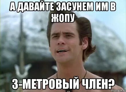 Дай сунуть