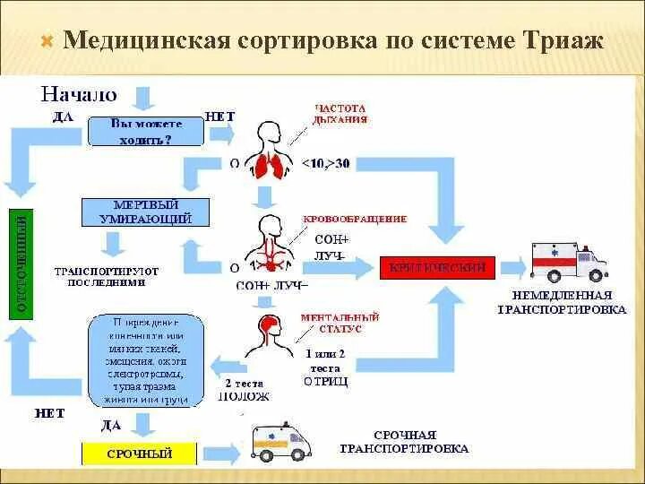 Медицинская сортировка алгоритм. Современная система медицинской сортировки триаж. медицинская сортировка триаж. современная система медицинской сортировки или триаж в медицине. медицинская сортировка схема.