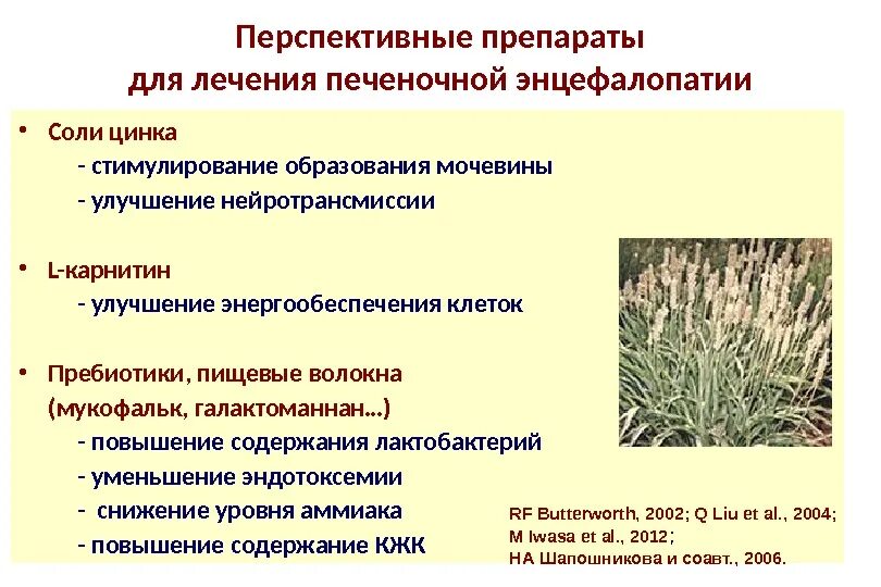 Перспективный препарат. Препаратом выбора в лечении печеночной энцефалопатии является. Перспективный препарат. Для лечения печеночной энцефалопатии используется:. Перспективный препарат.