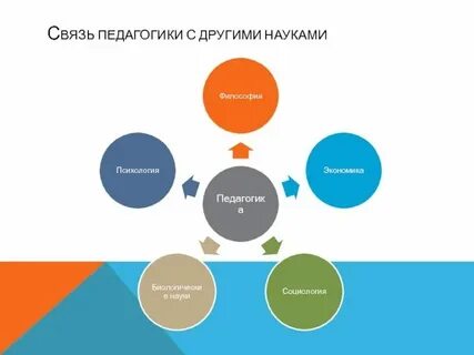 Объясните связь экономики с другими науками