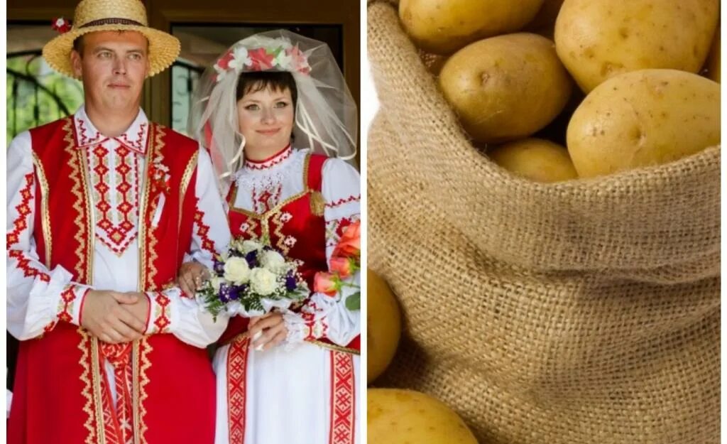 Белорусская картошка Бульба. Бульба белорусская Лукашенко. Белорусская Национальная одежда. Белорусы и картошка.