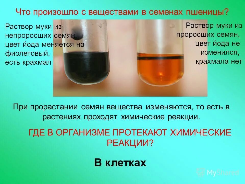 Йодная вода реакция. Раствор йода цвет. Какого цвета йод в растворе. Раствор йода в воде цвет. Водный раствор йода цвет.