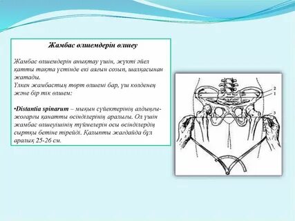 Классикалық түкті порно