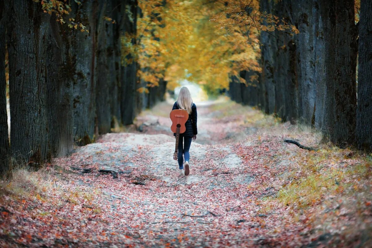 Картина девушка в осеннем лесу. Осенний парк. Хожу по аллее. Осень одиночество. Пратер парк аллеи.
