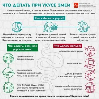 Что делать при укусе гадюки