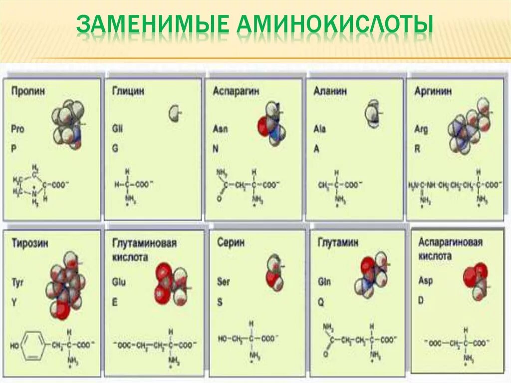 Классификация аминокислот заменимые и незаменимые. Классификация аминокислот биохимия заменимые незаменимые. Аминокислоты. Заменимые аминокислоты. Как изменилось количество аминокислот