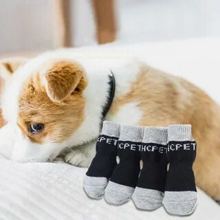 Носки для собак